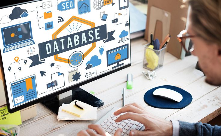 How Database Management Supports Web Applications