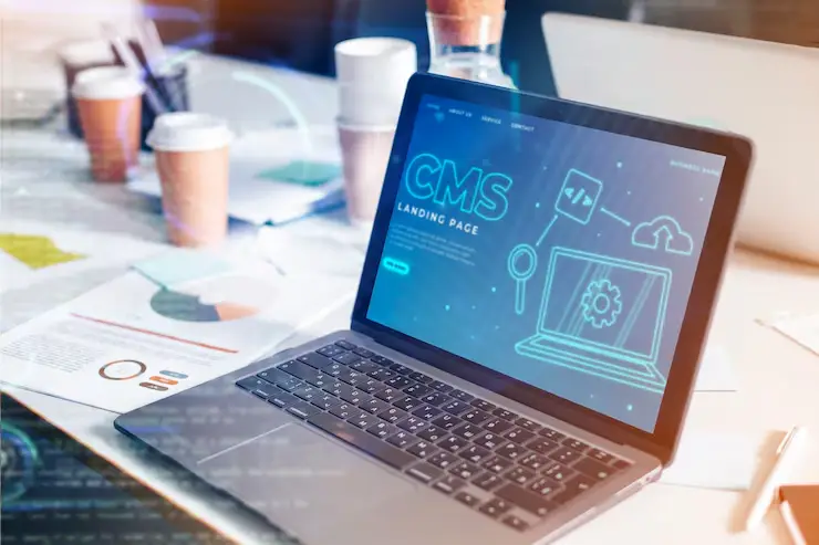 How to Develop a CMS-Based Website