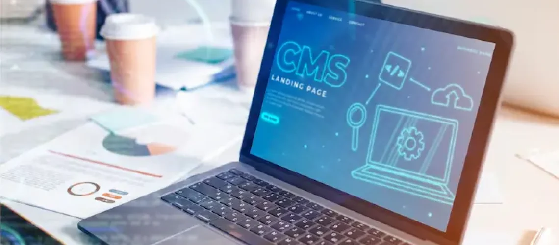 How to Develop a CMS-Based Website